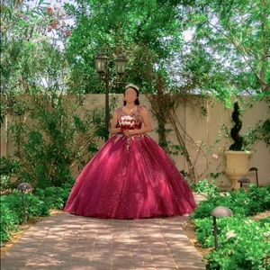 Quinceañera Dress, XV Dress, Ball Gown